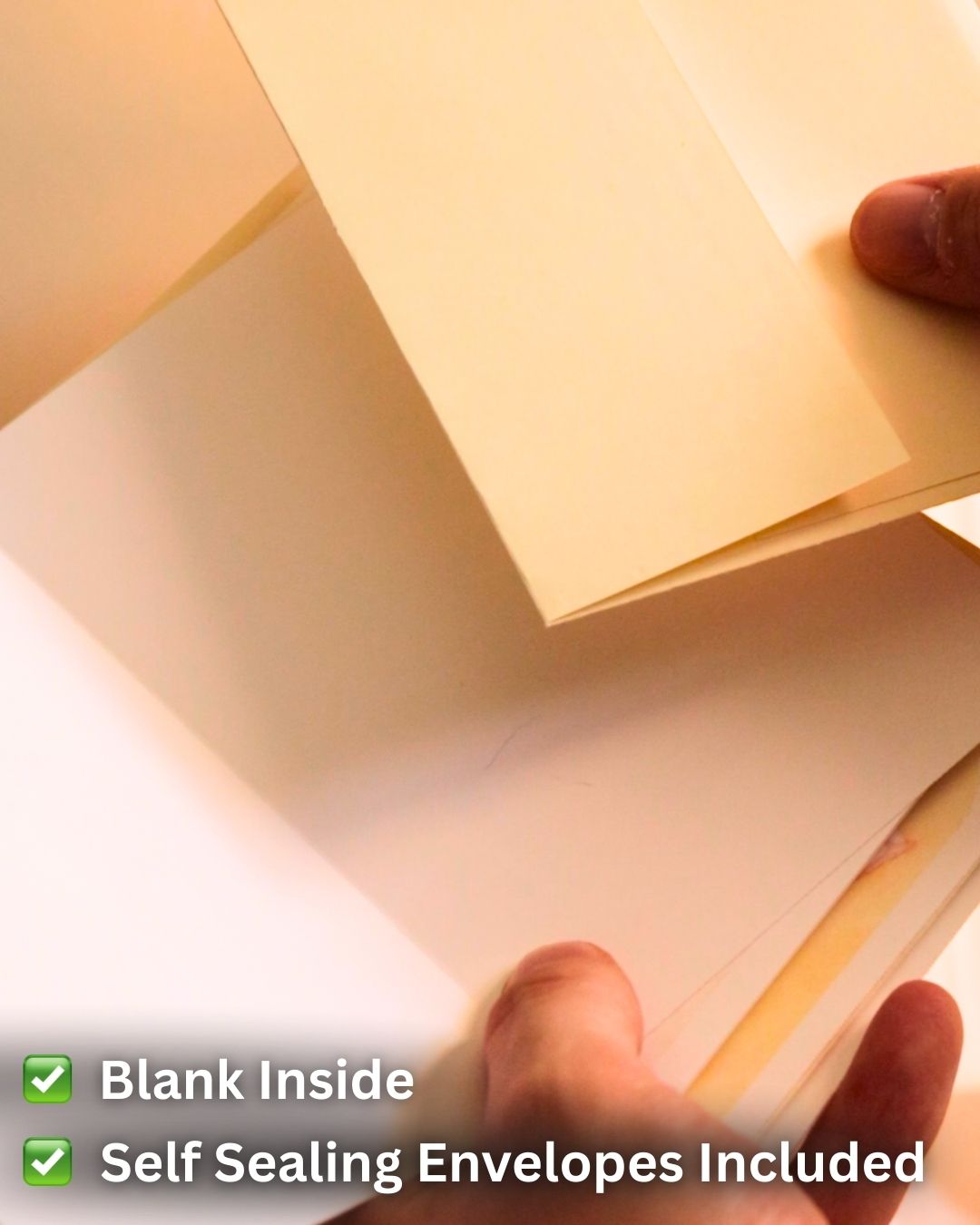 Reading Kitty Greeting Cards