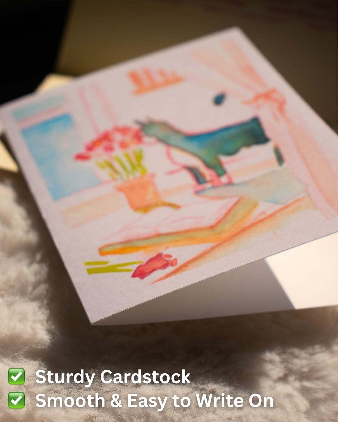 Kitty Greeting Cards (Variety Set)