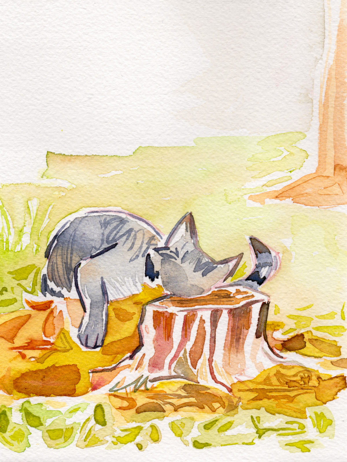 Sleepy Kitty on a Tree Stump 5x7'' Original Watercolor