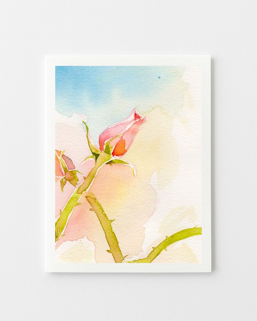 Floral Greeting Cards - Variety Set