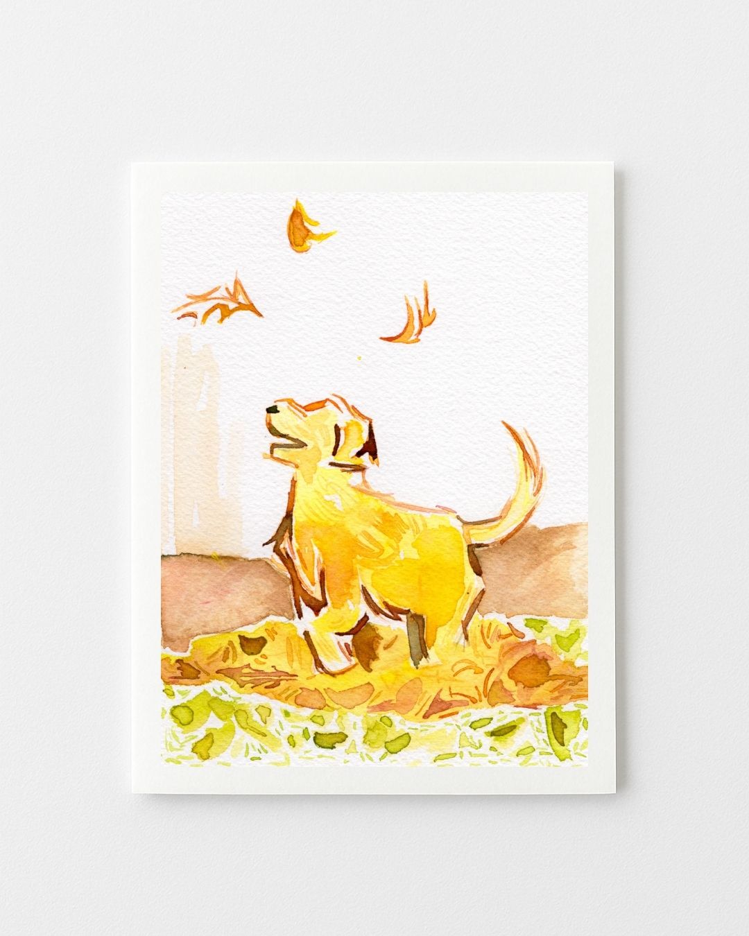 Fall Greeting Cards - Variety Set