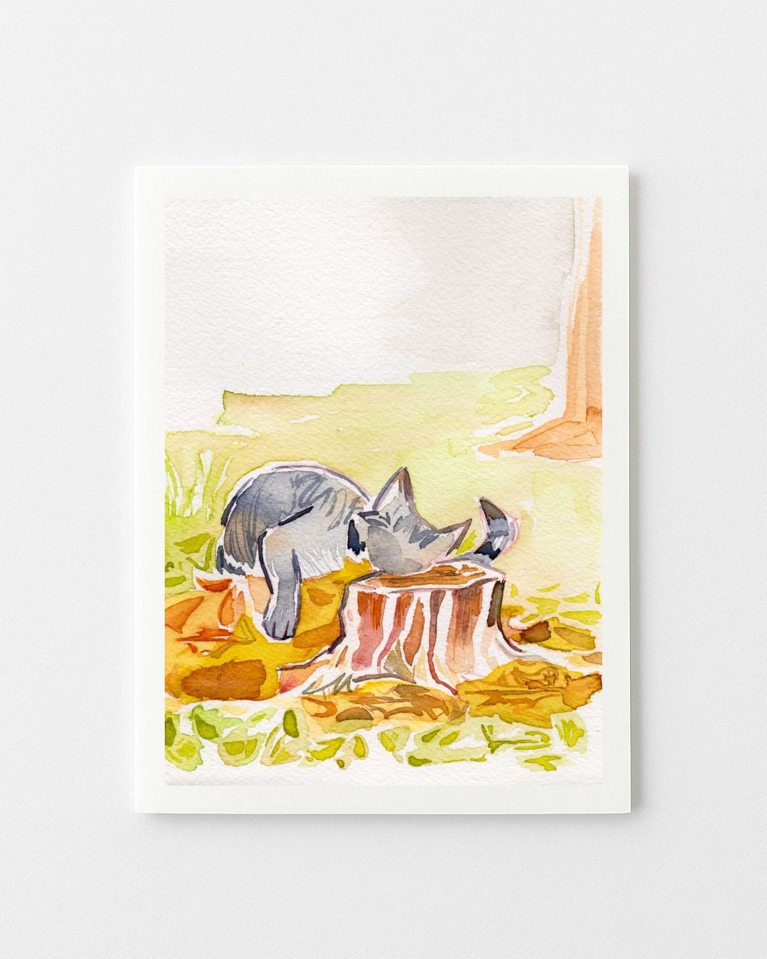 Fall Greeting Cards - Variety Set
