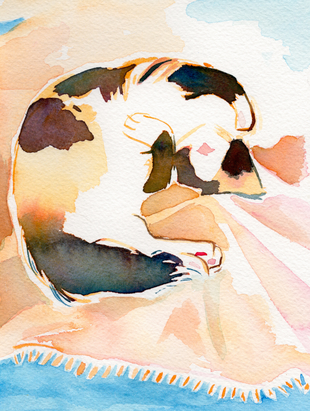 Comfy Calico Kitty - 5x7'' Original Watercolor