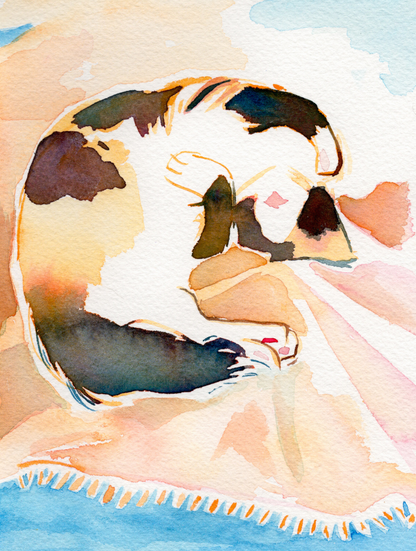 Comfy Calico Kitty - 5x7'' Original Watercolor