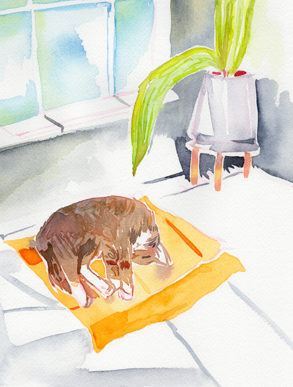 Brown Tabby Kitty by the Window - 8x10 Original Watercolor