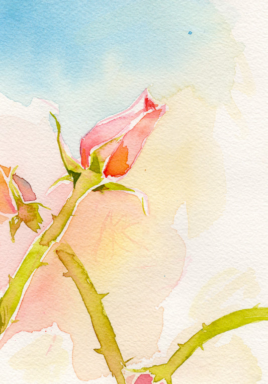 Roses in Bloom 5x7'' Original Watercolor