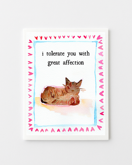I Tolerate You with Great Affection Valentine's Day Greeting Card